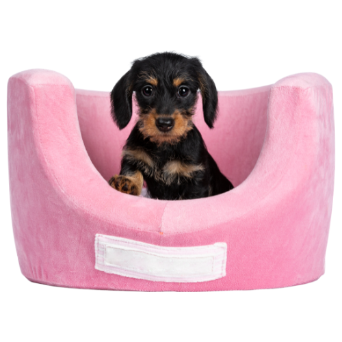 Hundebetten Berater